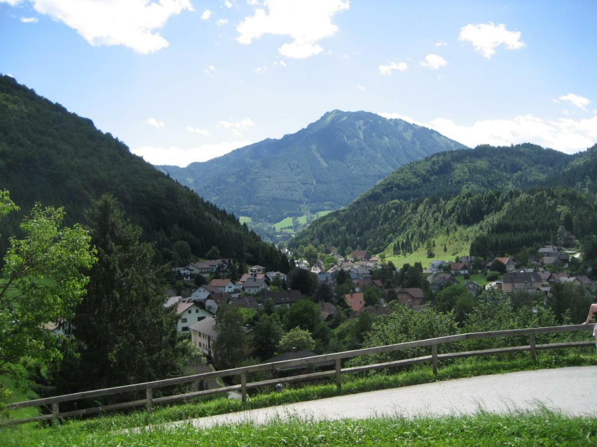 Appartment Haring Hollenstein an der Ybbs ภายนอก รูปภาพ