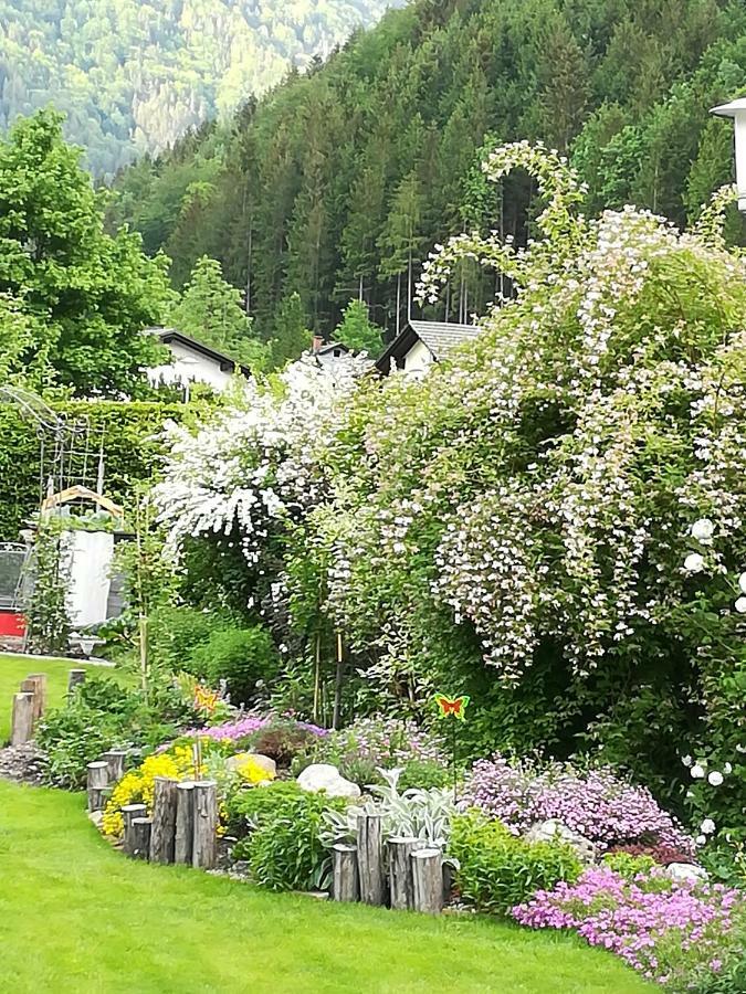 Appartment Haring Hollenstein an der Ybbs ภายนอก รูปภาพ